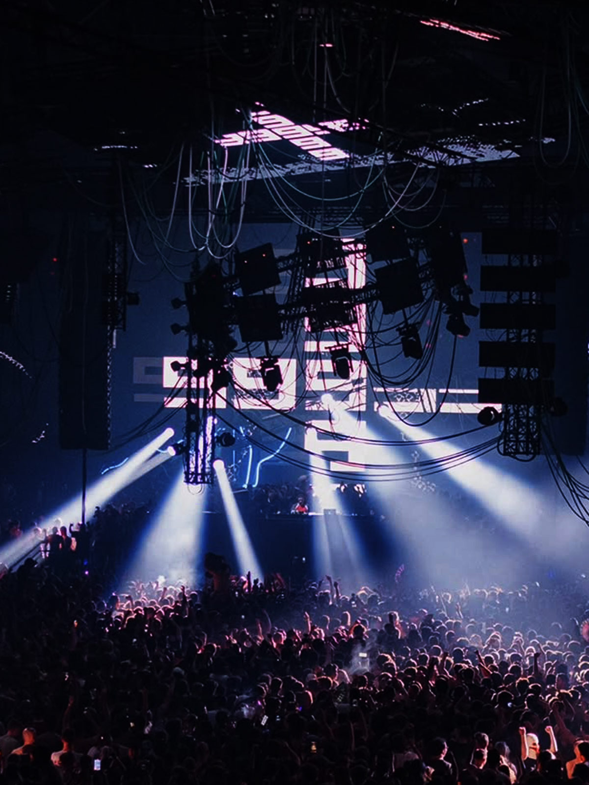 Brand Creation & Identity